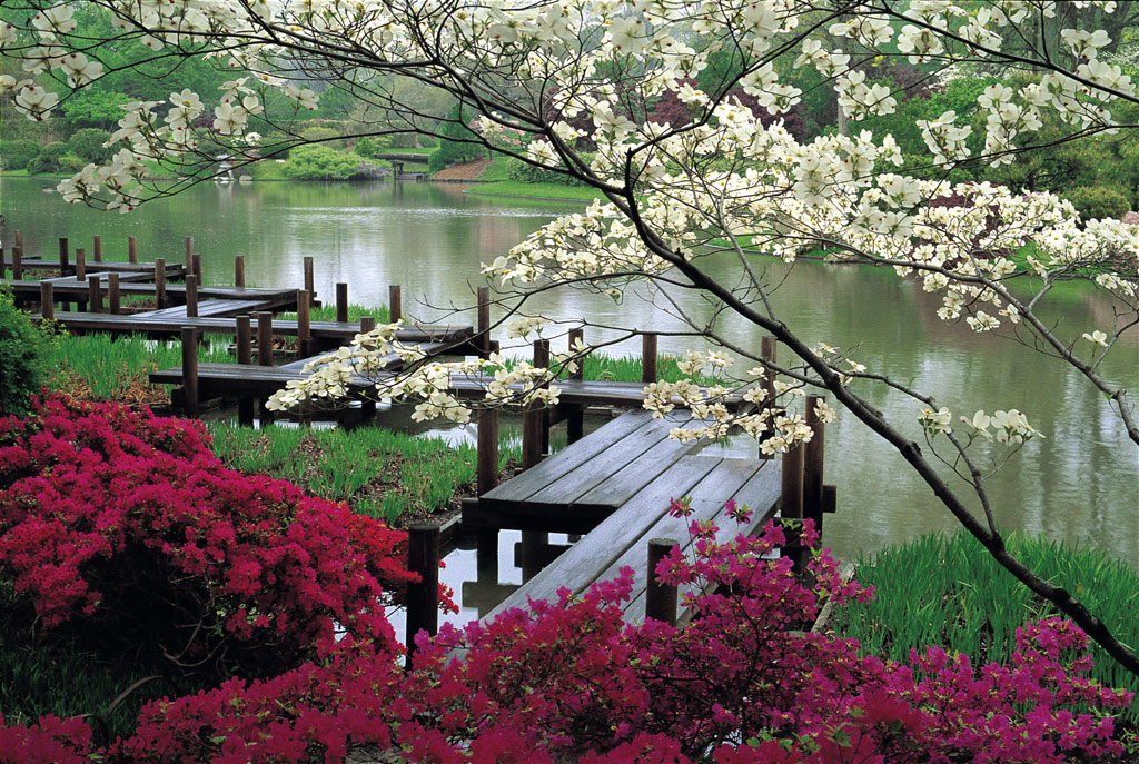 what is your dream venue wedding venues Missouri Japanese Garden 600x