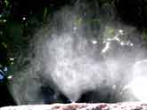 Mist nozzles