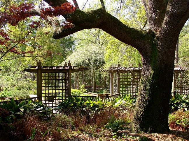 Mobile Botanic Garden