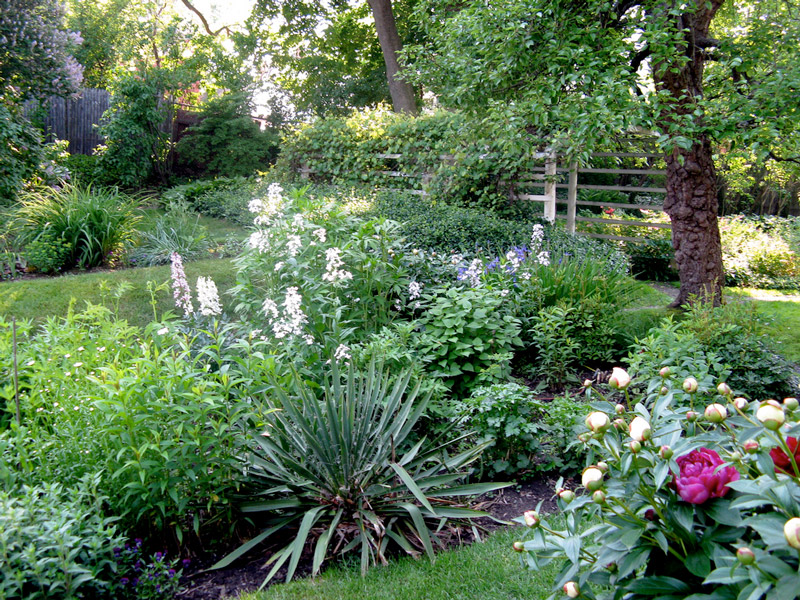 Moffatt-Ladd House Garden in June
