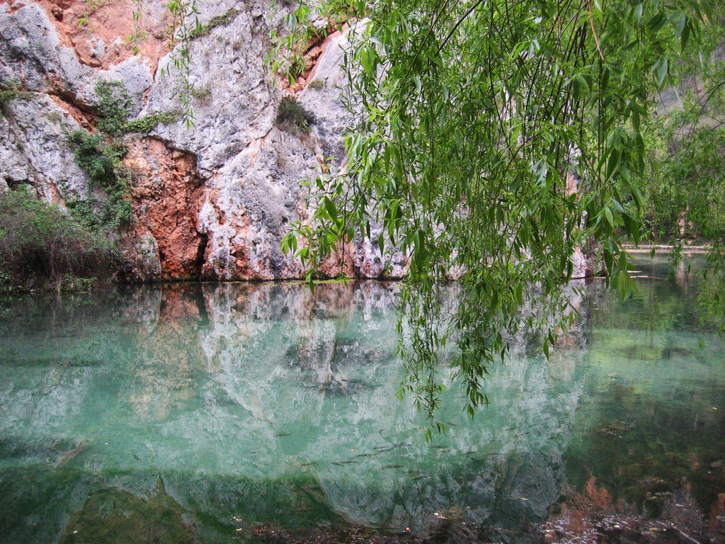 Monasterio de Piedra Garden Carquinyol