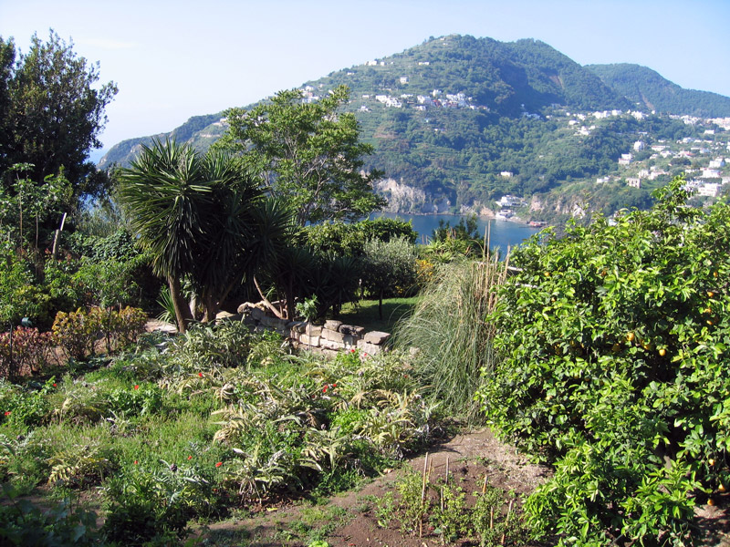 Kitchen Garden, Albergo Il Monastero