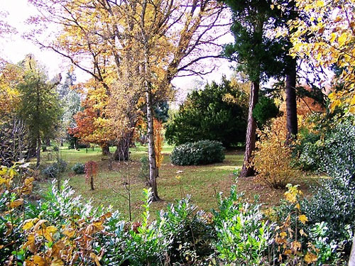 Monteviot House Gardens, Borders