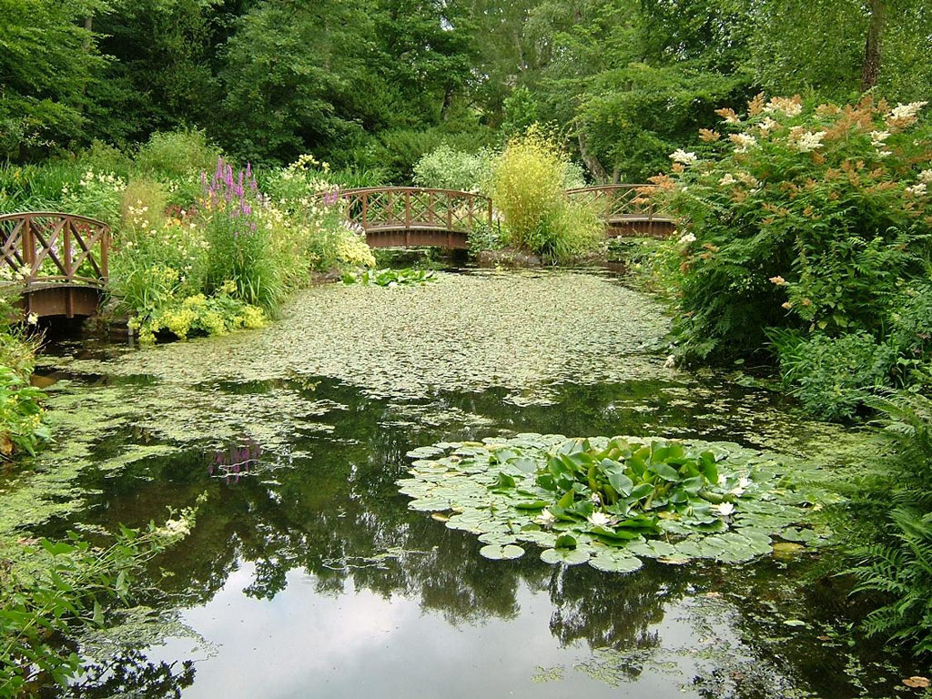 Water Garden, Monteviot House Garden