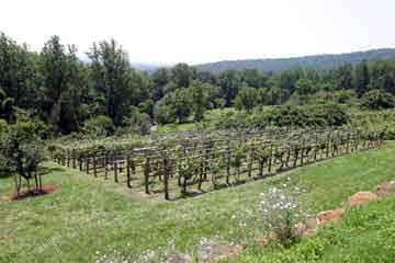 Monticello7