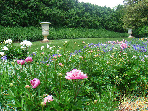 Montpelier Garden, Virginia