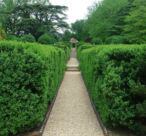 James Madison's Montpelier
