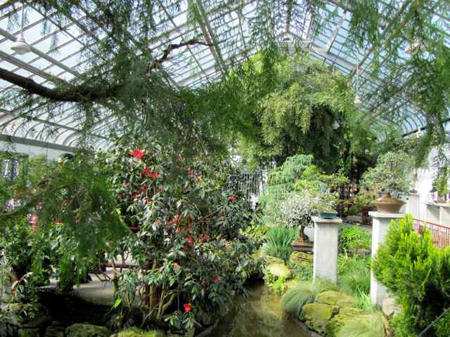 Montreal Botanical Garden, 2010