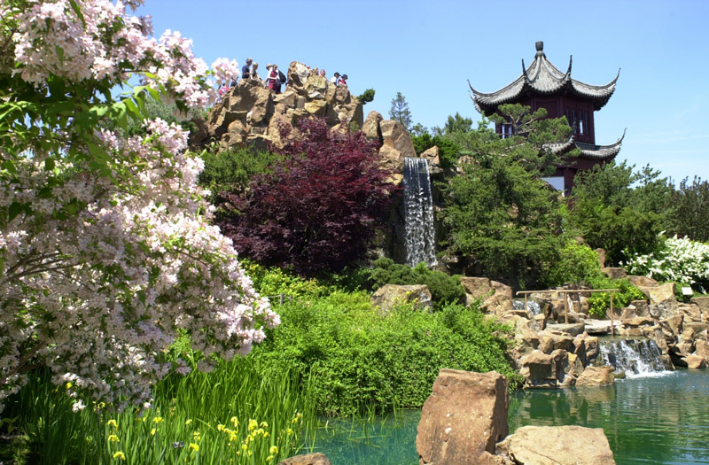 http://www.gardenvisit.com/assets/madge/montreal_botanical_chinese_garden/600x/montreal_botanical_chinese_garden_600x.jpg