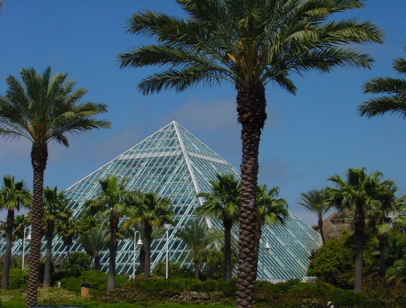 Moody Gardens Rainforest Pyramid on Pyramid Moody Gardens