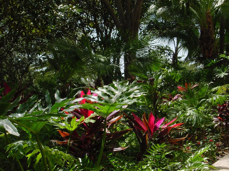 Moody Gardens, Texas