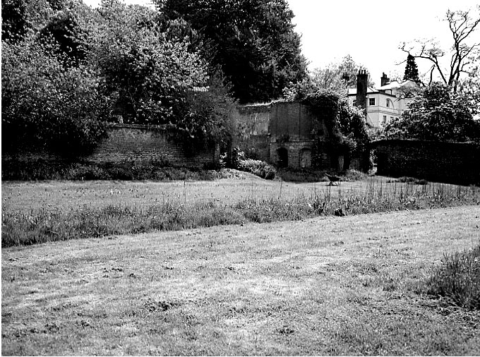 Illustrations on CD edition of Garden Visit and Travel Guide - see www.gardenvisit.com/order_form.htm
