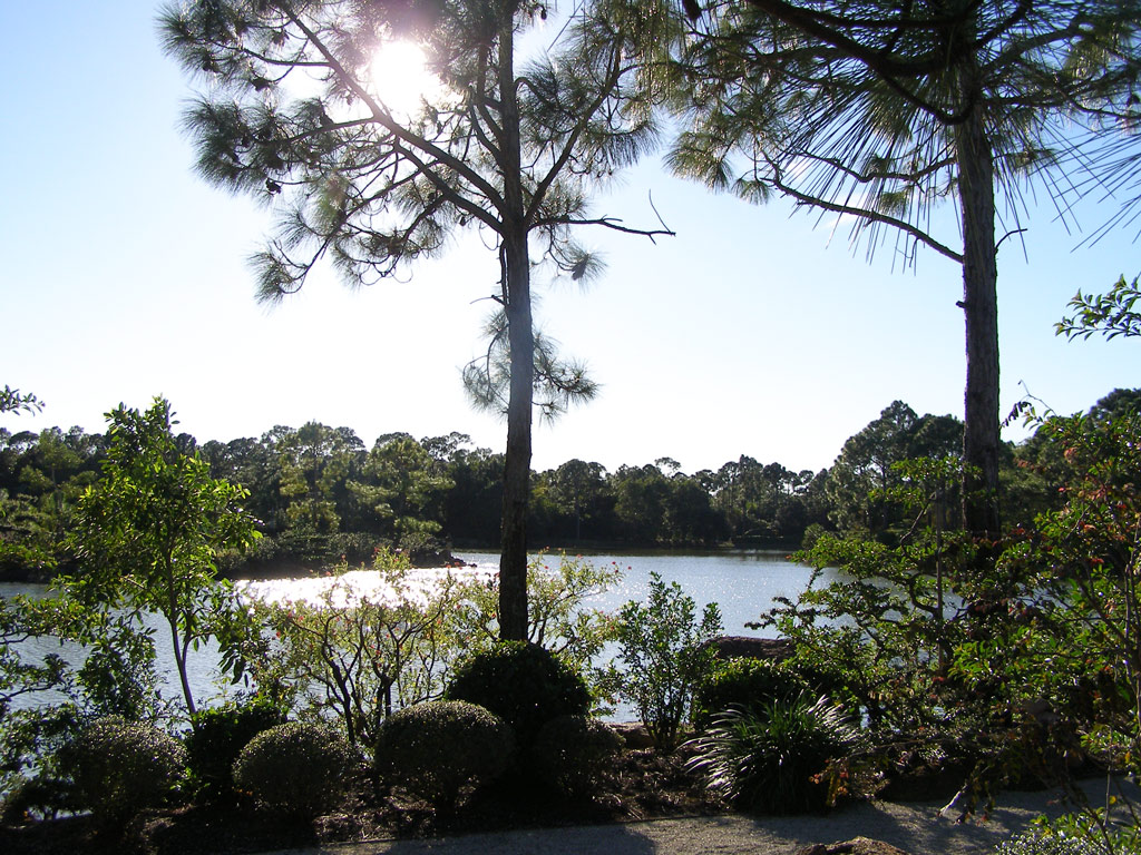 The Morikami Museum and Japanese Gardens, Florida