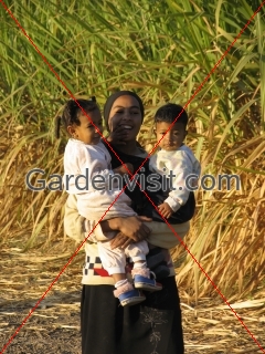 Mother Children Egypt