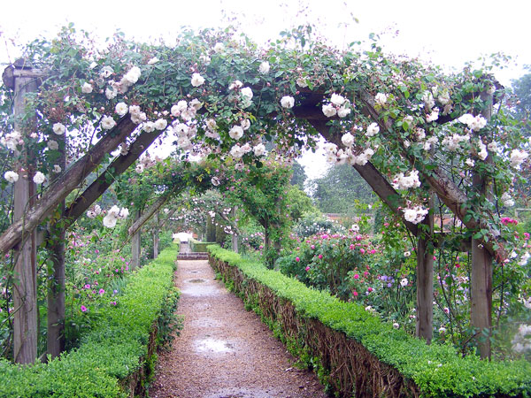 Arches, Mottisfont Abbey Garden
