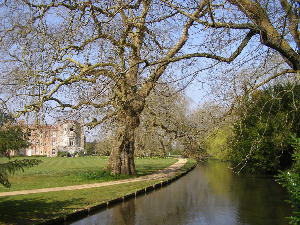 Mottisfont Abbey Garden, April