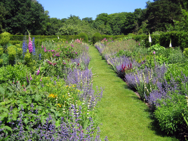 Herbaceous Border, Mottistone Manor Garden