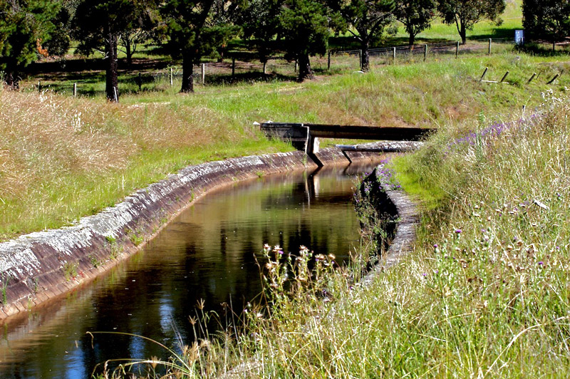 Canal, Mount Annan Botanic Garden