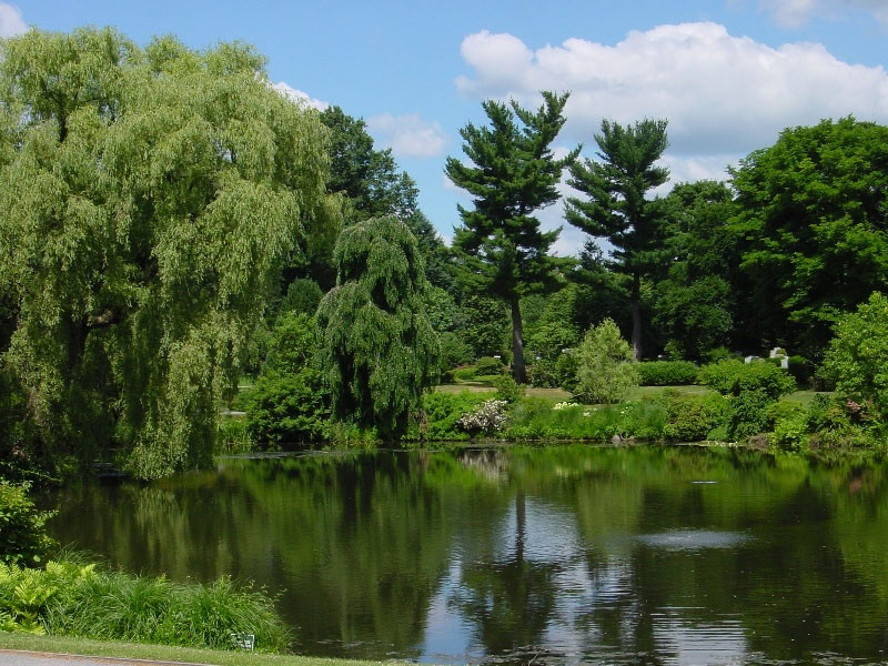 Mount Auburn Cemetery Garden, Cambridge