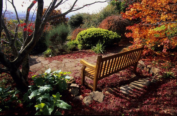 Bench, Mount Tomah Botanic Garden