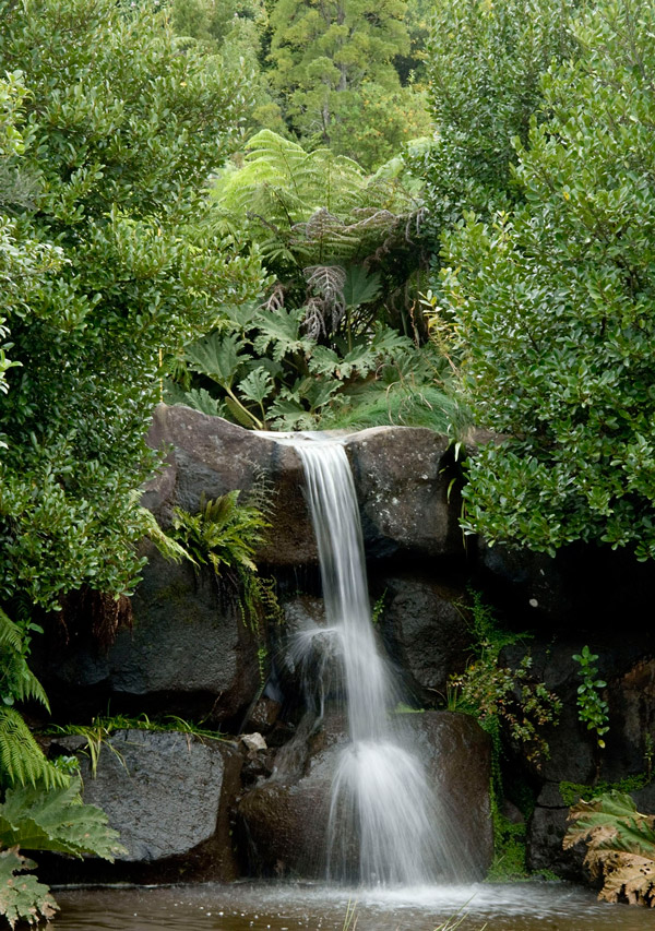 Waterfall, Mount Tomah Botanic Garden