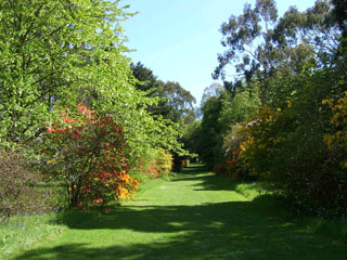 Mount usher garden