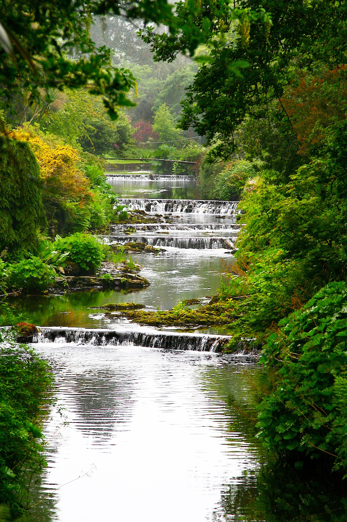 Mount Usher Garden Shawn