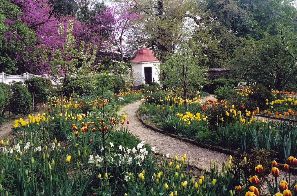 Upper Garden, Mount Vernon Estate