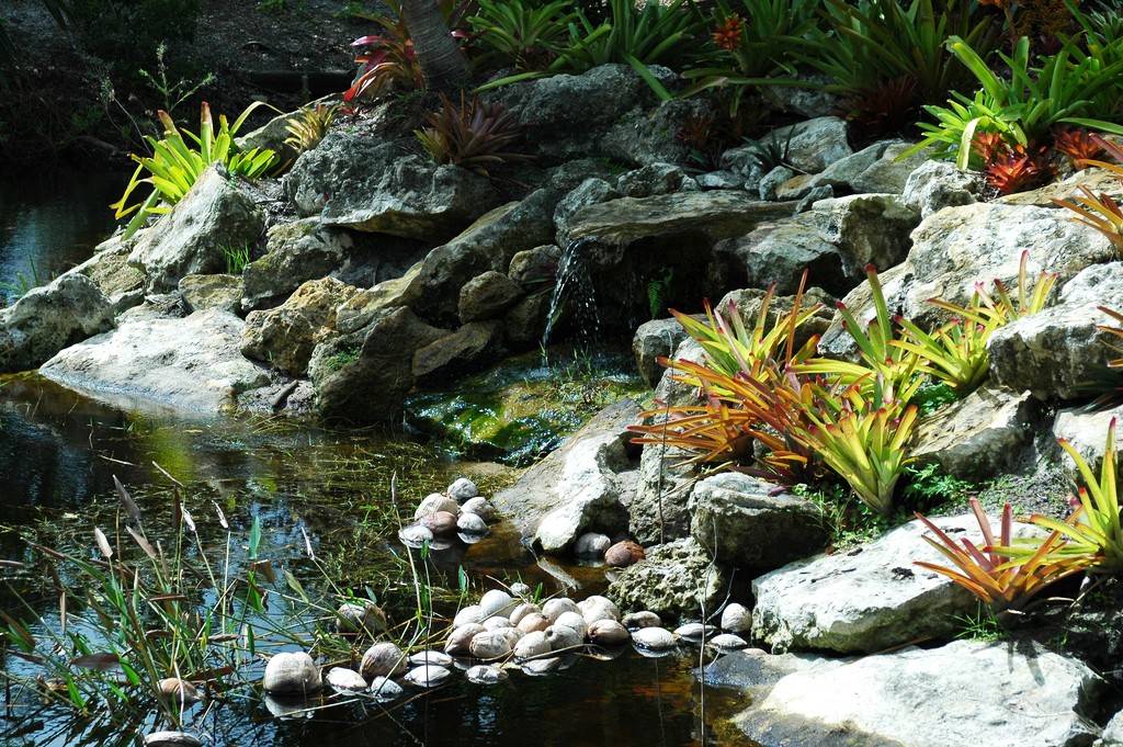 Mounts Botanical Garden Duane Schoon
