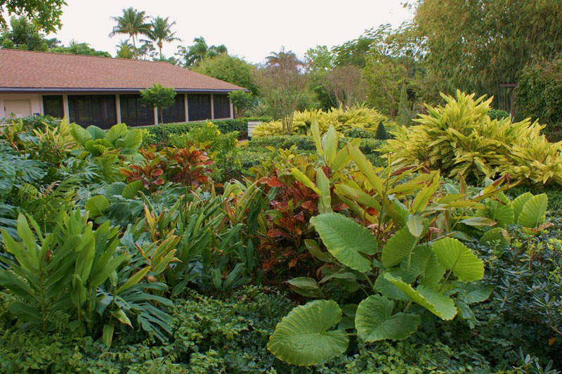 Mounts Botanical Garden, USA