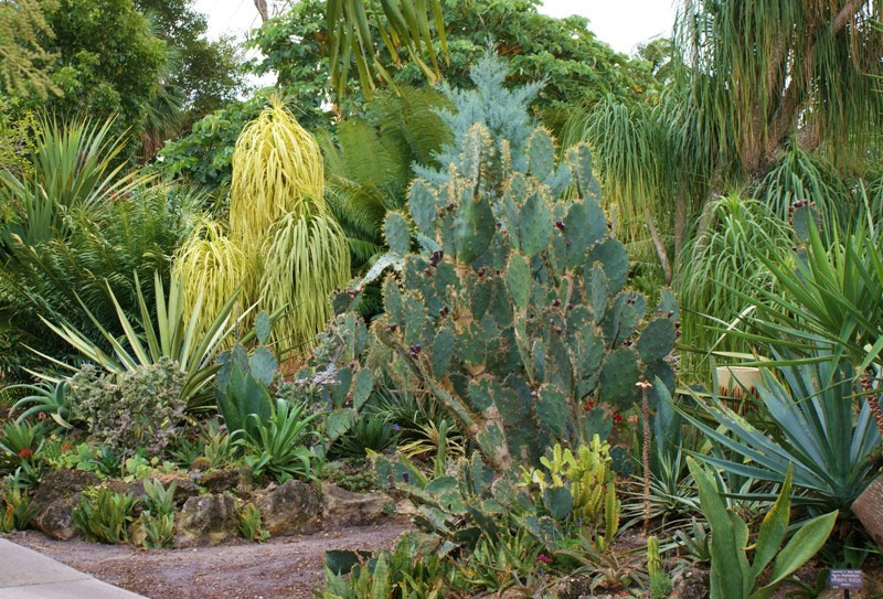 Mounts Botanical Garden, Palm Beach