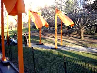 Movement in the wind