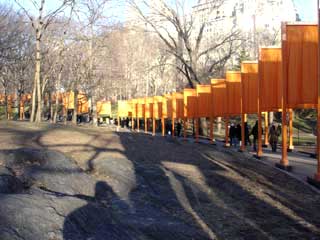 Fifth Ave