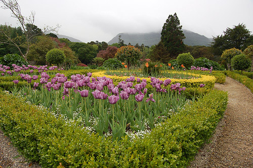Muckross House Gardens, County Kerry