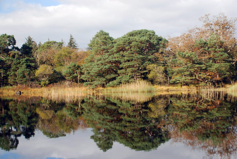 Muckross Lake, County Kerry