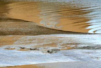 Mud banks