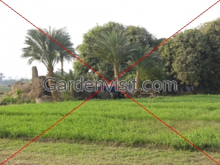 Mud Brick Architecture Egypt
