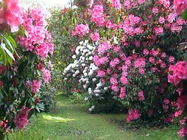 Muncastercastle garden