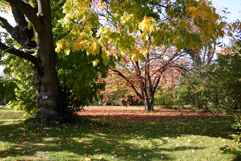 Munich Botanic Garden, Germany