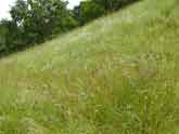 Munich Olympiapark