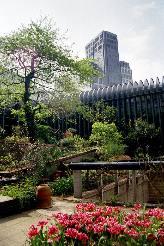 Museum of London, Nursery Garden Fraser Elliot