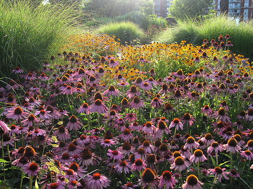 Toronto Music Garden, Canada