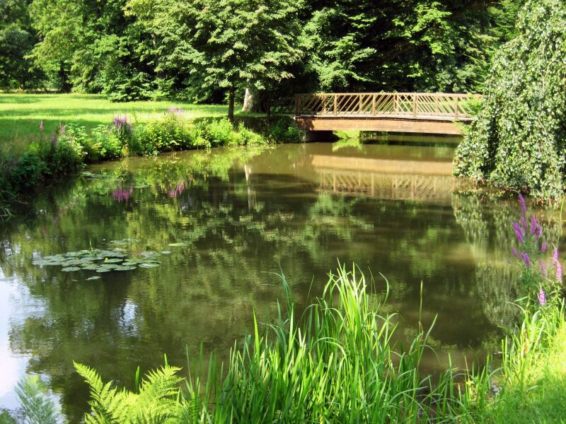 Pond, Fuerst-Pueckler-Park Bad Muskau