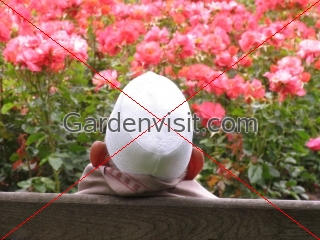 Muslim Head