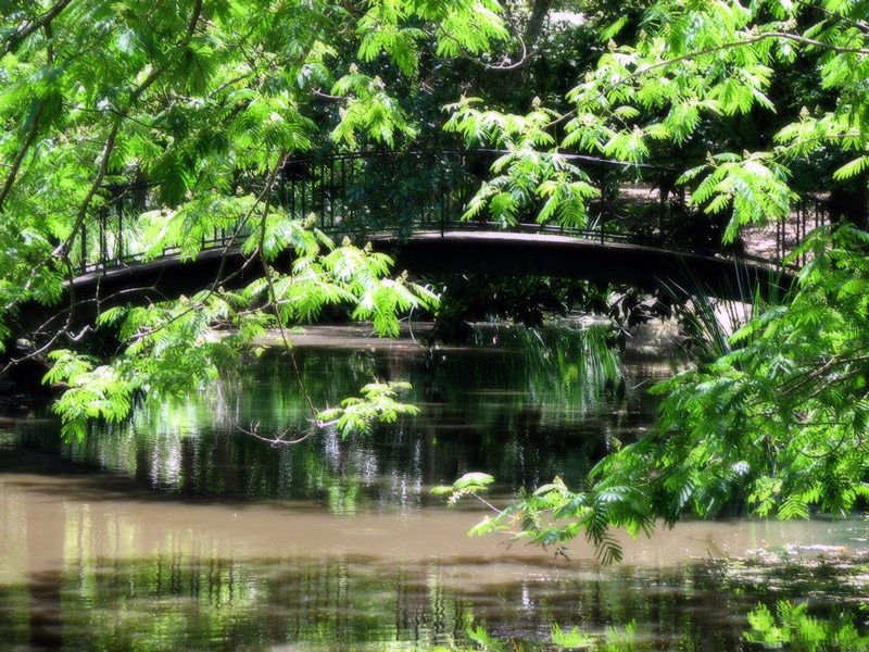 Mynelle Gardens, Mississippi