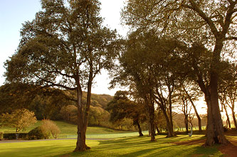 Nansloe Manor Garden
