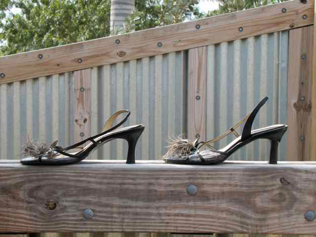 Shoe Planters