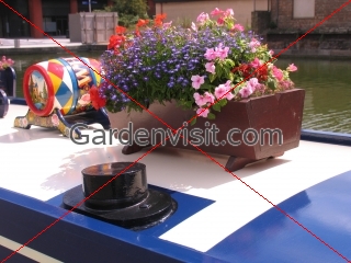 Narrow Boat
