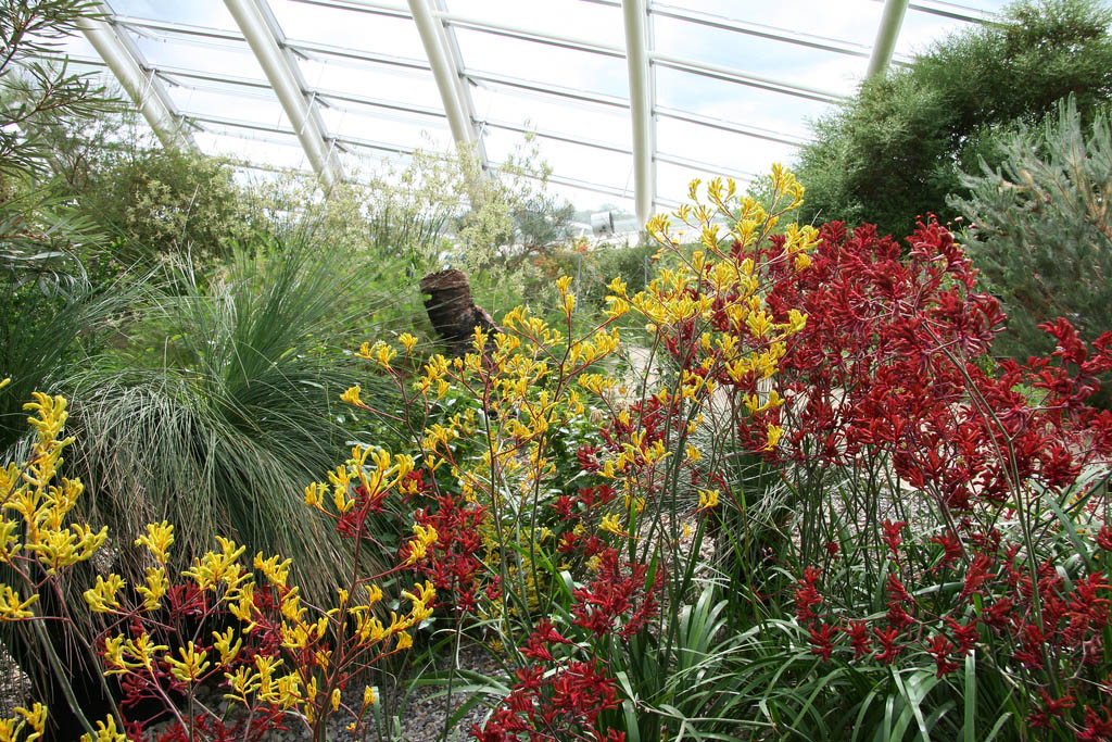 National Botanic Garden of Wales Peter Reed
