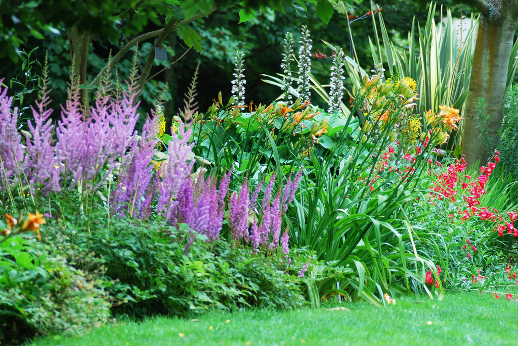 National Botanic Gardens, Glasnevin Martin Phillips